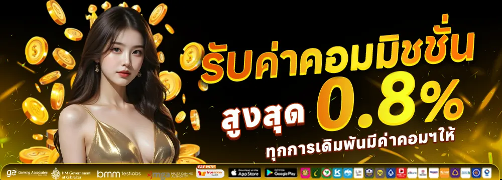 โปรโมชั่น1